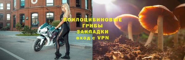 тгк Володарск