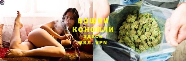 тгк Володарск