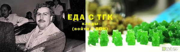 тгк Володарск